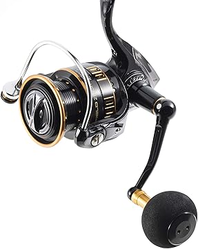 Amazon.co.jp: アブガルシア（Abu Garcia）: ショアジギング